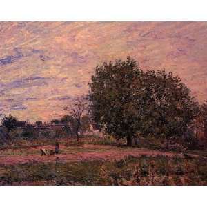   20 inches   Walnut Trees, Sunset   Early Days o