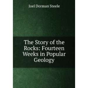   Rocks Fourteen Weeks in Popular Geology Joel Dorman Steele Books
