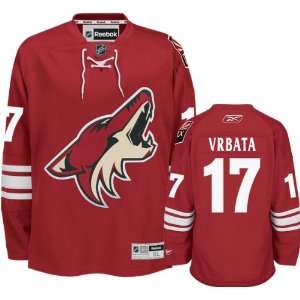  Radim Vrbata Premier Jersey Phoenix Coyotes #17 Brick 