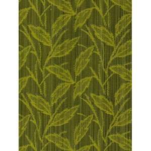  Trailing Vines Grass by Robert Allen Contract Fabric Arts 