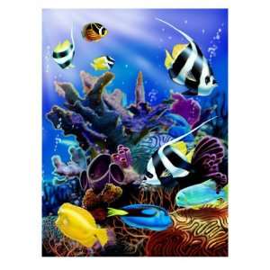  Coral Reef Giclee Poster Print, 42x56