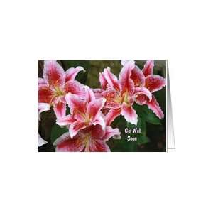  Get Well Soon, Stargazer lily flowers, Card Health 