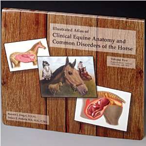 Illustrated Atlas of Clinical Equine Anatomy and Common Disorders of 
