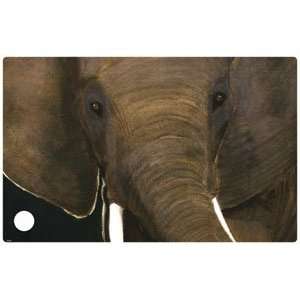  Skinit Elephant Face Vinyl Skin for HP ENVY 17 Ultrabook 