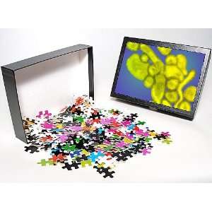   of Avian influenza virus, TEM from Science Photo Library Toys & Games