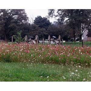  New Market, Virginia, Battlefield Photograph   Beautiful 