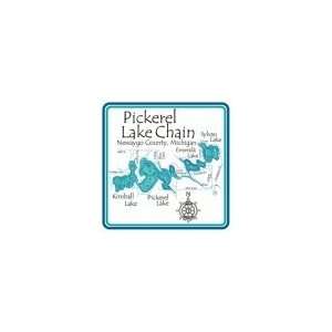 Pickerel Chain 4.25 Square Absorbent Coaster Kitchen 