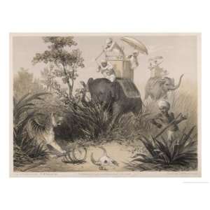 British in India Shooting a Tiger from Elephants Giclee Poster Print 