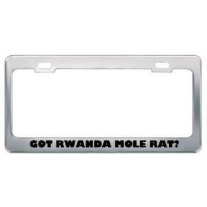 Got Rwanda Mole Rat? Animals Pets Metal License Plate Frame Holder 