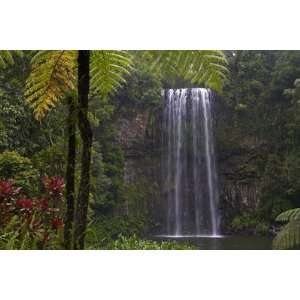  Milla Millaa Falls by Glenn Van Der Knijff, 72x48