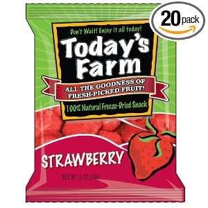 Todays Farm Freeze dried Strawberry, .50 Ounce Bags (Pack of 20 