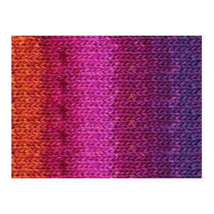    Noro Karuta Pinks Chunky Variegated Yarn 10 Arts, Crafts & Sewing