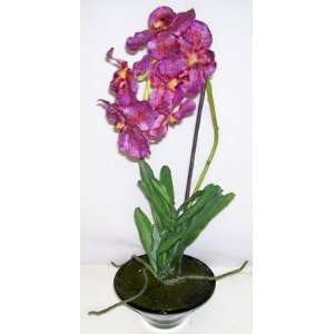  22 Life Like Vanda Orchid (Purple)