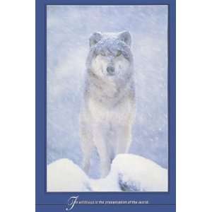  Arctic Snow Wolf Tenderness Wildlife PAPER POSTER measures 