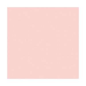 Company Lion Sleeps Flat Paper 12X12 Pink Specs; 25 Items/Order 