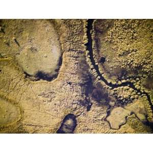  The Flooded Plains of the Okavango Delta, Botswana 