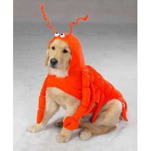  MEDIUM   LOBSTER PAWS   Dog Halloween Costume Pet 