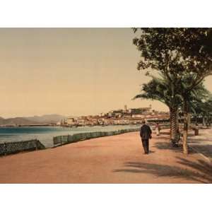  The boulevards, Cannes, Riviera 1890s photochrom 