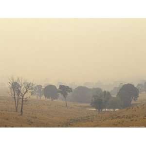  Farmland Shrouded in the Haze of Summer Wildfire Smoke 