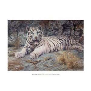 Matthew Hillier   White Tiger Size 26x36 by Matthew Hillier . Art 