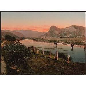  Cadair Idris,Dyssyni Valley,cattle study,Wales