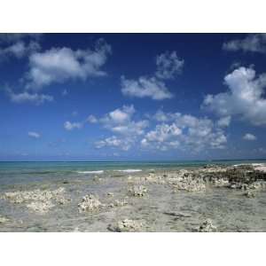  Rocky Shore, Grand Cayman, Cayman Islands, West Indies 