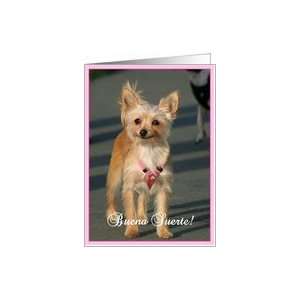 Buena Suerte Chihuahua Dog Card