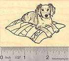 Golden Retriever Puppy on Blanket Rubber Stamp K16814 W