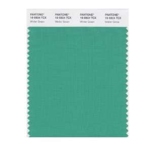   SMART 16 5924X Color Swatch Card, Winter Green