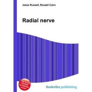 Radial nerve [Paperback]
