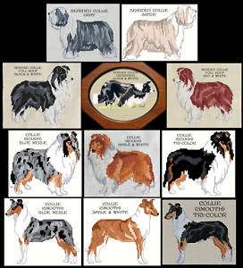 COLLIE, BEARDED & BORDER COUNTED CROSS STITCH PATTERNS  