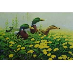  Martin Murk   Duck, Drake and Dandelions