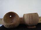COCONUT SHELL PLANTER    Set of 2. Orchids, Tropicals.