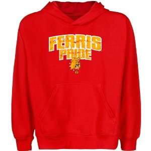  Ferris State Bulldogs Youth State Pride Pullover Hoodie 