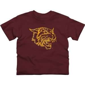 Bethune Cookman Wildcats Youth Distressed Primary T Shirt 