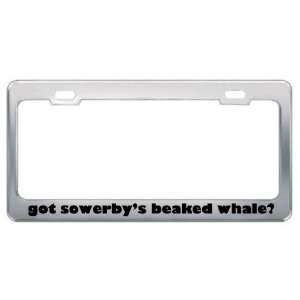 Got SowerbyS Beaked Whale? Animals Pets Metal License Plate Frame 