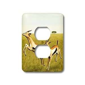  Boehm Graphics Animal   Thomsons Gazelle   Light Switch 