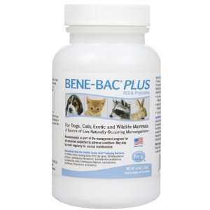  Bene Bac Plus Powder   4.5 oz (Quantity of 3) Health 