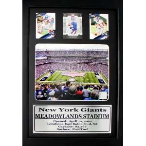  New York Giants Meadowlands Stadium with 3 Trading Cards 
