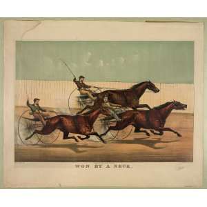   Horse Racing and Trotting Won By A neck Vintage Image