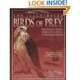 The Illustrated Birds of Prey Red Tailed Hawk, American Kestrel 