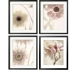  Foral Montage   Set of 4