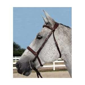  HDR Pro Stress Free Padded Bridle