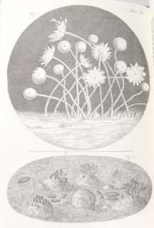 MICROGRAPHIA 1665 Robert Hooke MICROSCOPE Leather  