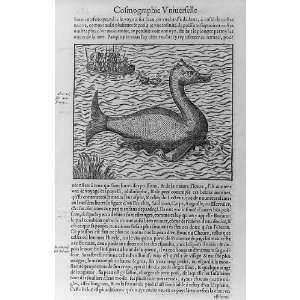  A Monstrous Fish,1575,Thevet,La Cosmographie,Fishing 