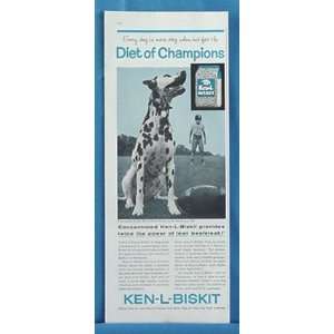 1960 Dalmatian Ken L Biskit Dog Food Print Ad (2022)