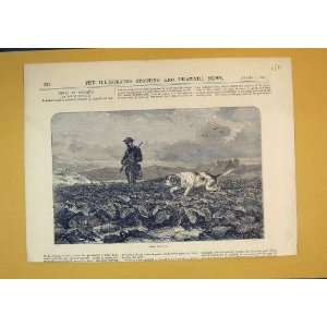  1875 Sport Hare Shooting Man Gun Hound Dog Country