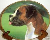 LOVELY BOXER UNCROPPED PLATE GORGEOUS BY SIMON MENDEZ  