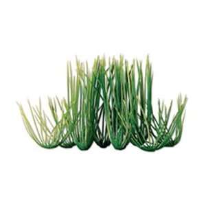  Tetra Water Wonders Hairgrass Plant 9in
