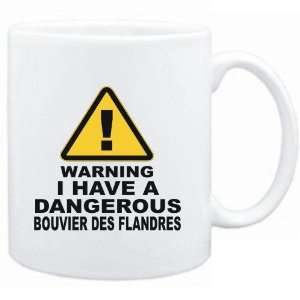    WARNING  DANGEROUS Bouvier des Flandres  Dogs